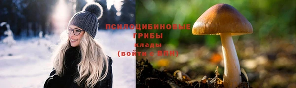 хмурый Алексеевка
