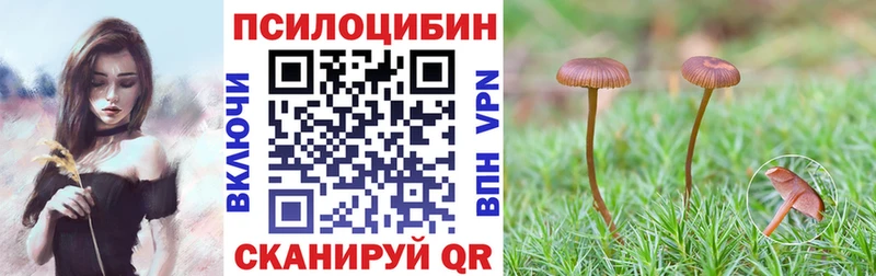 mega как зайти  Сухой Лог  Галлюциногенные грибы мицелий  сколько стоит 