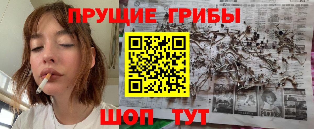 Сухой Лог  Псилоцибиновые грибы GOLDEN TEACHER  Вход с VPN 